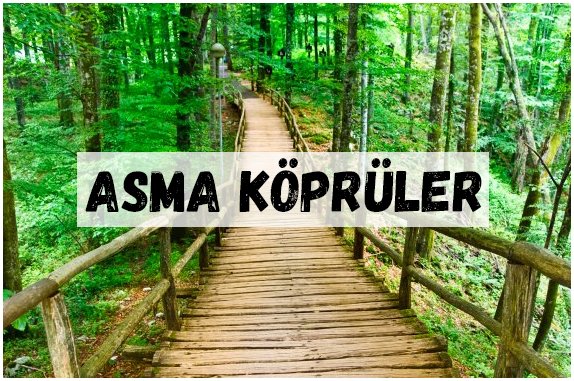 ASMA KÖPRÜLER