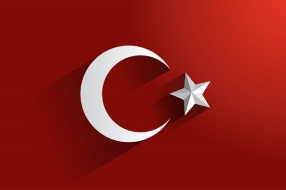 Bayrak ve Logo (79)