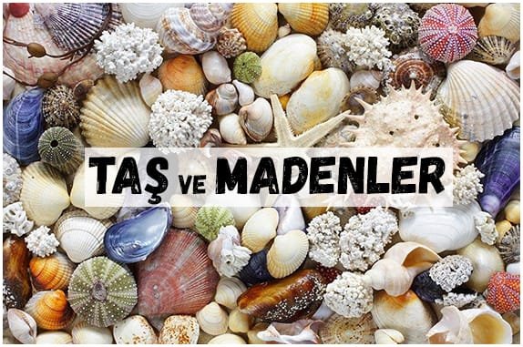 TAŞ MADEN